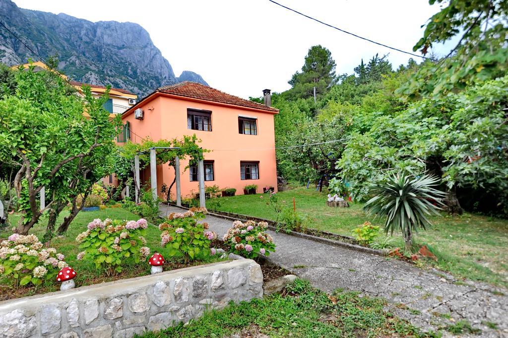 Apartments Vido Kotor Ngoại thất bức ảnh