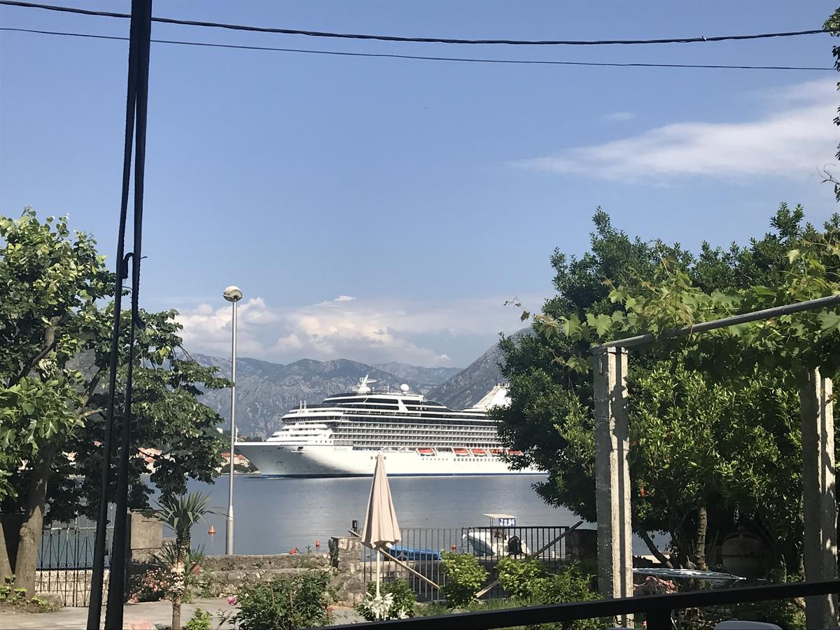 Apartments Vido Kotor Ngoại thất bức ảnh