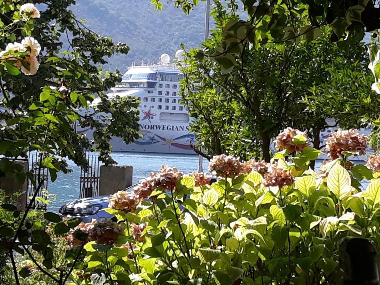 Apartments Vido Kotor Ngoại thất bức ảnh